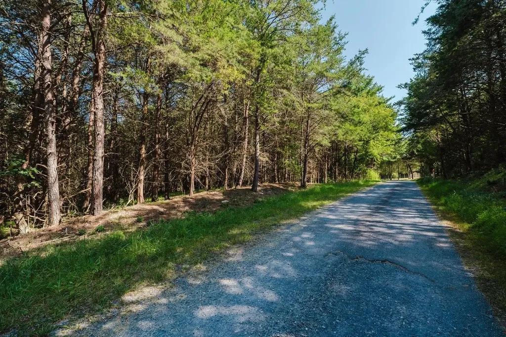 Tbd River View Road Luray VA 22835