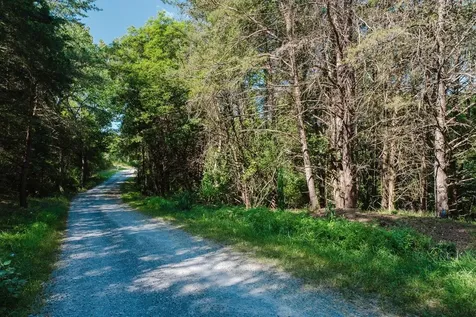 Tbd River View Road Luray VA 22835