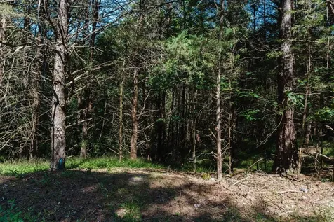 Tbd River View Road Luray VA 22835