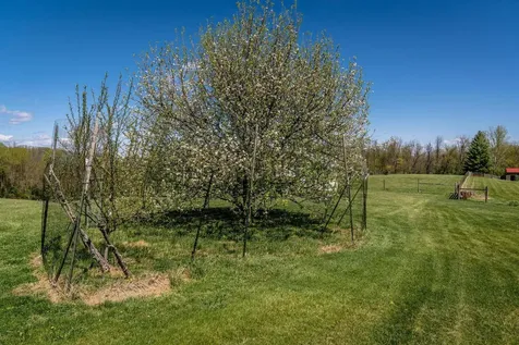 1075 Chestnut Ridge Road Staunton VA 24401