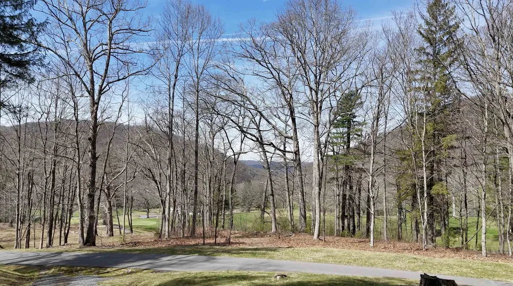 61 & 62 Old Course Trail Hot Springs VA 24445