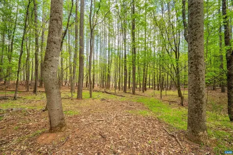 Tbd Garth Gate Lane Charlottesville VA 22901