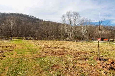 81.5 Acres Hopkins Gap Road Fulks Run VA 22830