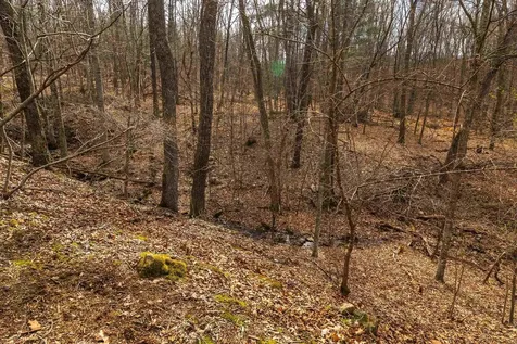 81.5 Acres Hopkins Gap Road Fulks Run VA 22830