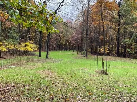 81.5 Acres Hopkins Gap Road Fulks Run VA 22830