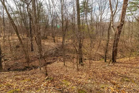 81.5 Acres Hopkins Gap Road Fulks Run VA 22830