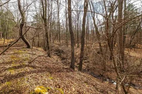 81.5 Acres Hopkins Gap Road Fulks Run VA 22830