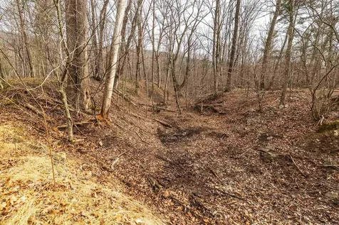 81.5 Acres Hopkins Gap Road Fulks Run VA 22830