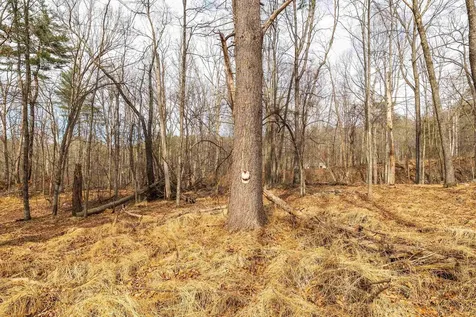 81.5 Acres Hopkins Gap Road Fulks Run VA 22830