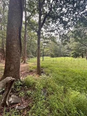 81.5 Acres Hopkins Gap Road Fulks Run VA 22830