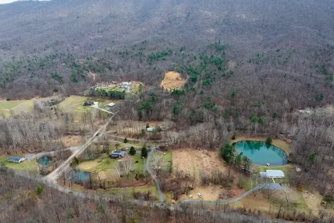 81.5 Acres Hopkins Gap Road Fulks Run VA 22830