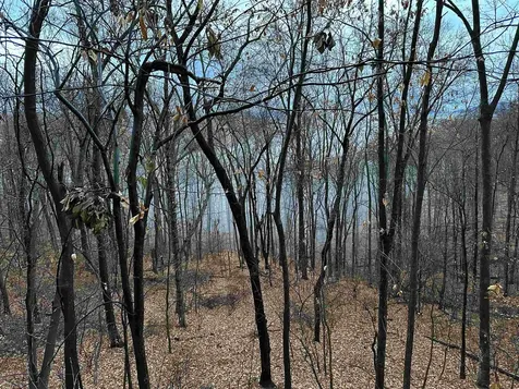 81.5 Acres Hopkins Gap Road Fulks Run VA 22830