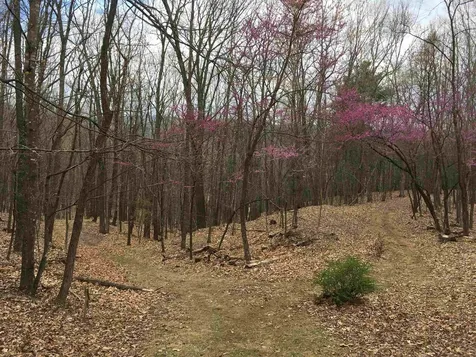 81.5 Acres Hopkins Gap Road Fulks Run VA 22830