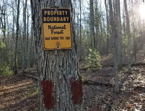 81.5 Acres Hopkins Gap Road Fulks Run VA 22830