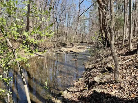 81.5 Acres Hopkins Gap Road Fulks Run VA 22830
