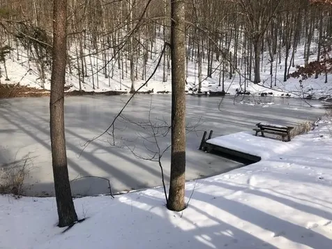 Lot 1 Hopkins Gap Road Fulks Run VA 22830