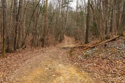 Lot 1 Hopkins Gap Road Fulks Run VA 22830