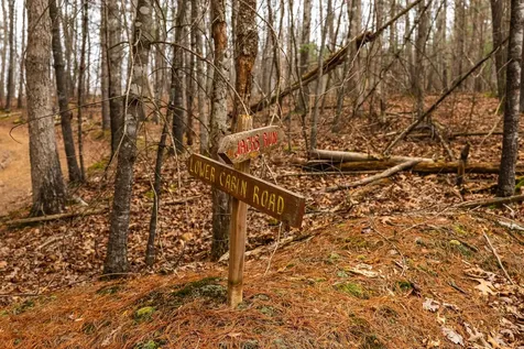 Lot 1 Hopkins Gap Road Fulks Run VA 22830