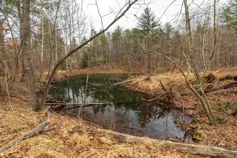 Lot 1 Hopkins Gap Road Fulks Run VA 22830