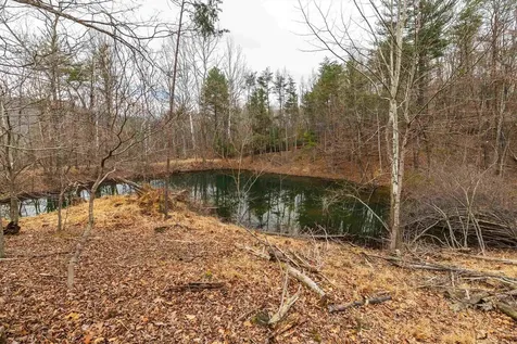 Lot 1 Hopkins Gap Road Fulks Run VA 22830
