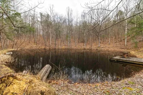 Lot 1 Hopkins Gap Road Fulks Run VA 22830