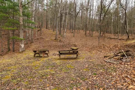 Lot 1 Hopkins Gap Road Fulks Run VA 22830