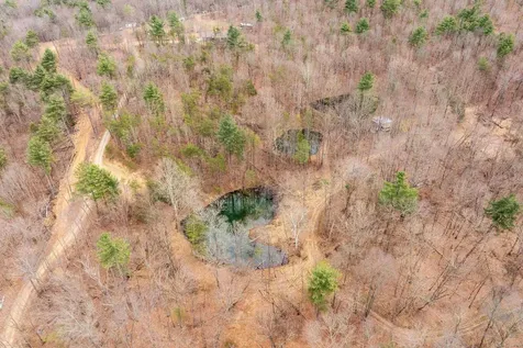 Lot 1 Hopkins Gap Road Fulks Run VA 22830