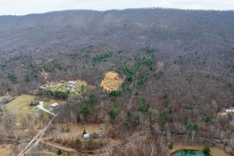 Lot 1 Hopkins Gap Road Fulks Run VA 22830
