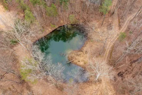 Lot 1 Hopkins Gap Road Fulks Run VA 22830