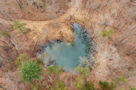 Lot 1 Hopkins Gap Road Fulks Run VA 22830