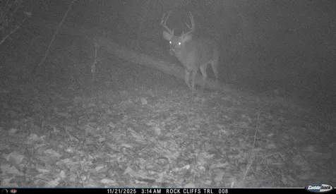 Lot 1 Hopkins Gap Road Fulks Run VA 22830
