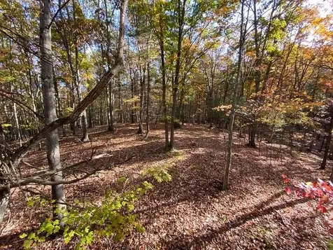 Lot 1 Hopkins Gap Road Fulks Run VA 22830