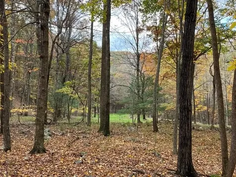 Lot 1 Hopkins Gap Road Fulks Run VA 22830