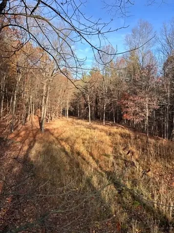 Lot 1 Hopkins Gap Road Fulks Run VA 22830