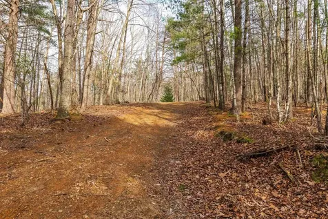 Lot 1 Hopkins Gap Road Fulks Run VA 22830