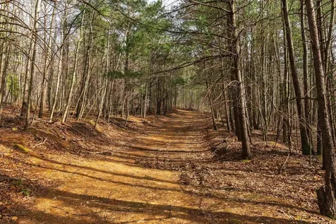 Lot 1 Hopkins Gap Road Fulks Run VA 22830