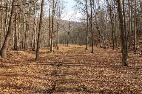 Lot 1 Hopkins Gap Road Fulks Run VA 22830