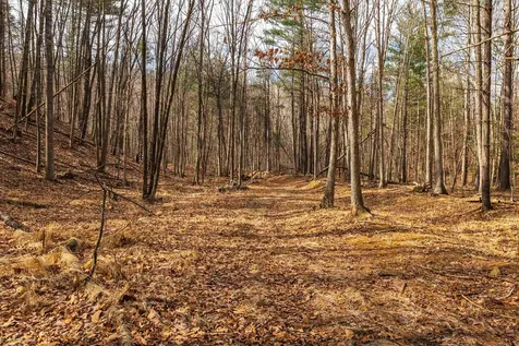 Lot 1 Hopkins Gap Road Fulks Run VA 22830
