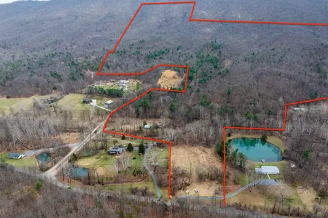 163 Acres Hopkins Gap Road Fulks Run VA 22830