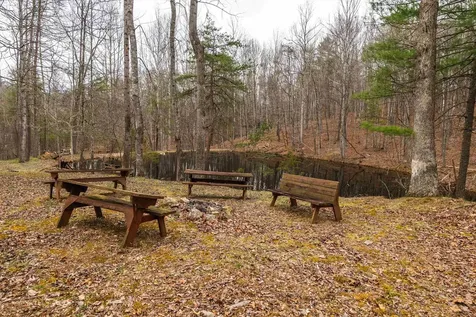 163 Acres Hopkins Gap Road Fulks Run VA 22830