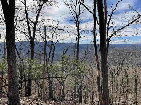 163 Acres Hopkins Gap Road Fulks Run VA 22830