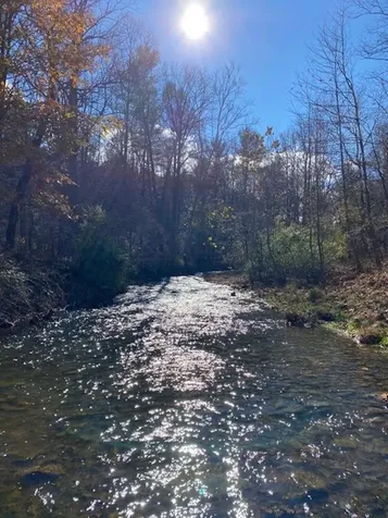 163 Acres Hopkins Gap Road Fulks Run VA 22830