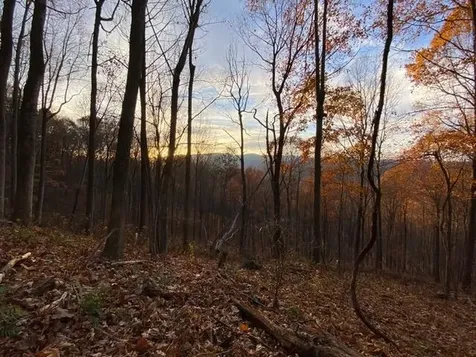 163 Acres Hopkins Gap Road Fulks Run VA 22830
