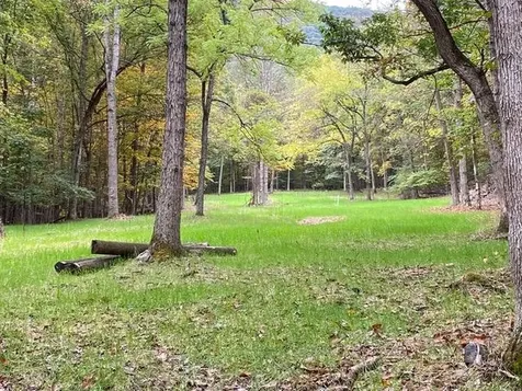 163 Acres Hopkins Gap Road Fulks Run VA 22830