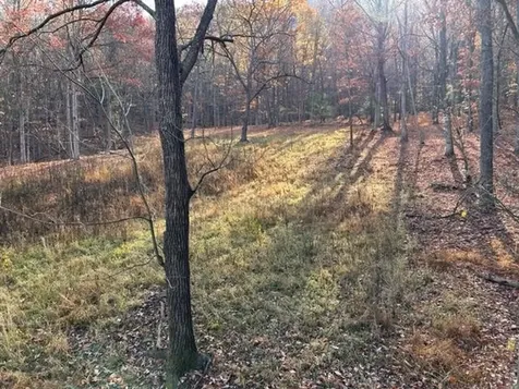 163 Acres Hopkins Gap Road Fulks Run VA 22830