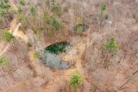 163 Acres Hopkins Gap Road Fulks Run VA 22830
