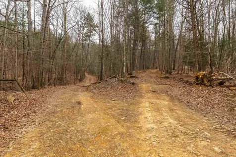 163 Acres Hopkins Gap Road Fulks Run VA 22830