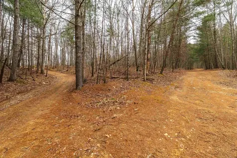 163 Acres Hopkins Gap Road Fulks Run VA 22830