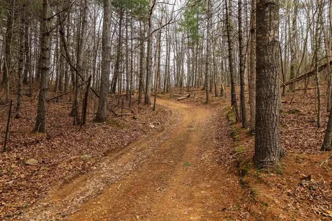 163 Acres Hopkins Gap Road Fulks Run VA 22830