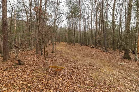 163 Acres Hopkins Gap Road Fulks Run VA 22830